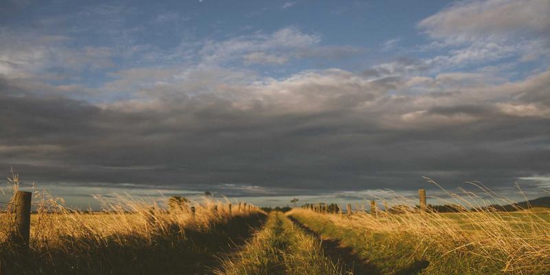 NFT与P2E泡沫退潮后,区块链游戏的下一站在哪里?从9J玩看单机与手游的真实应用场景