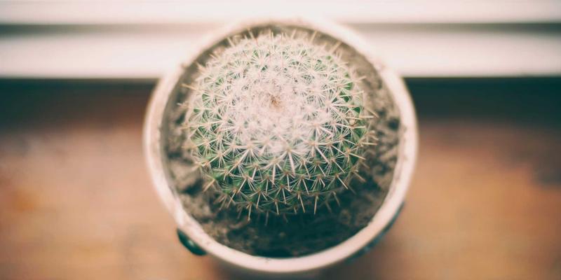 从灵感到爆款:一位独立游戏开发者的真实心路历程与实战经验分享