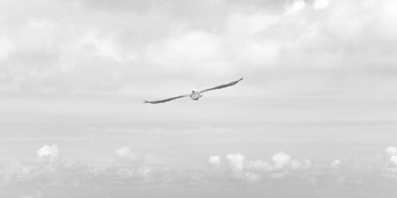 开源引擎崛起：Godot与Bevy如何重塑游戏开发格局，挑战Unity与Unreal的统治地位