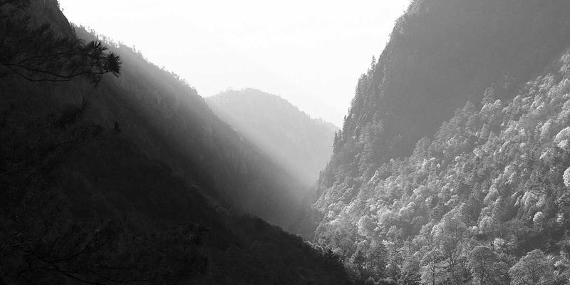 经典单机游戏IP重启的成败密码：9J玩深度攻略，教你如何平衡情怀与创新